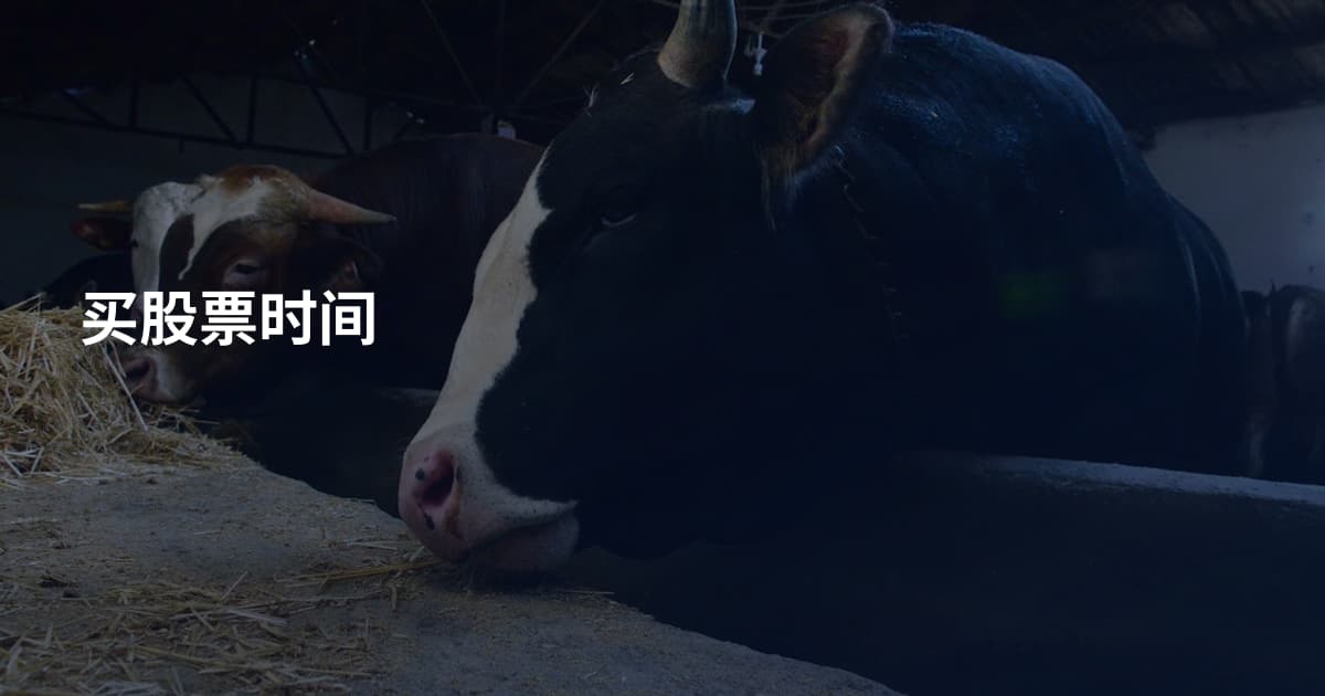 买股票时间
