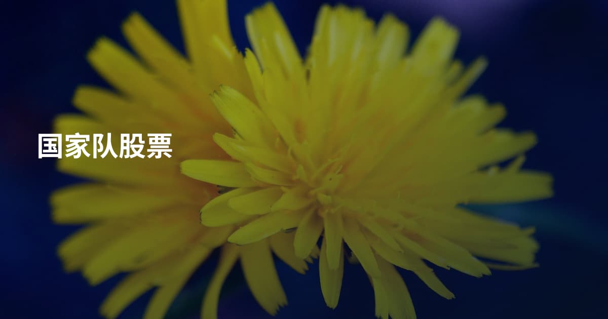 国家队股票