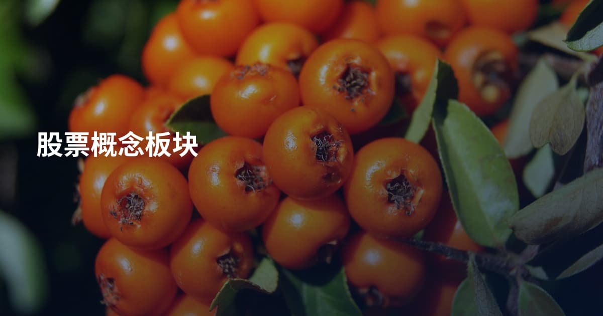 股票概念板块