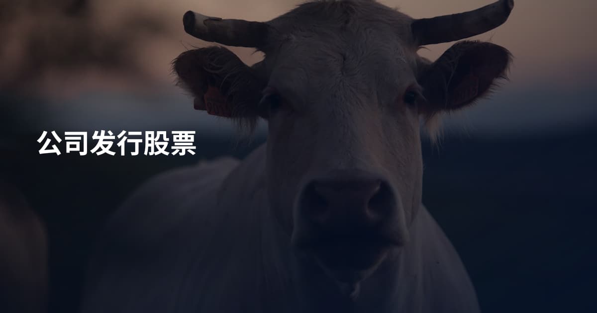 公司发行股票