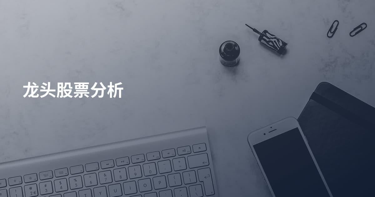 龙头股票分析