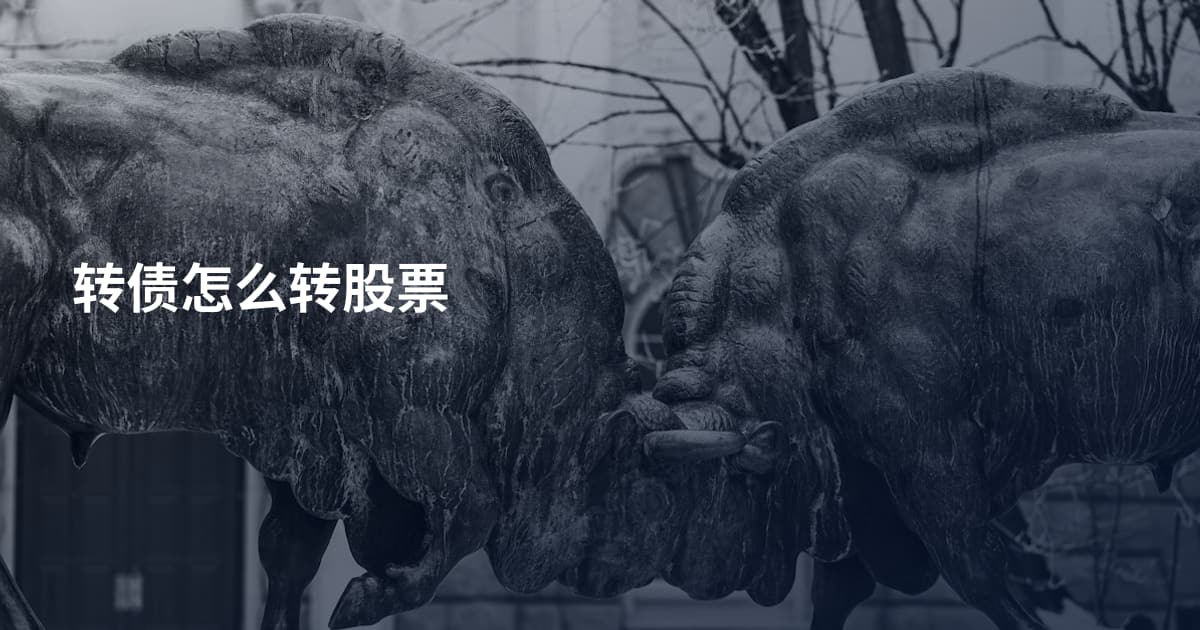 转债怎么转股票