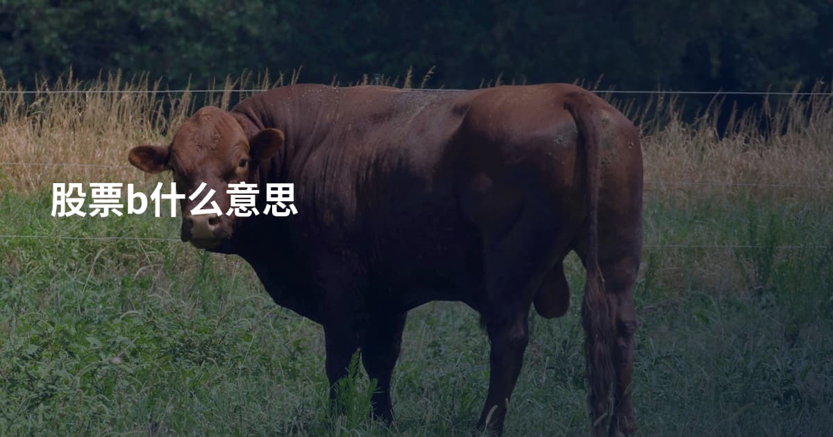股票b什么意思