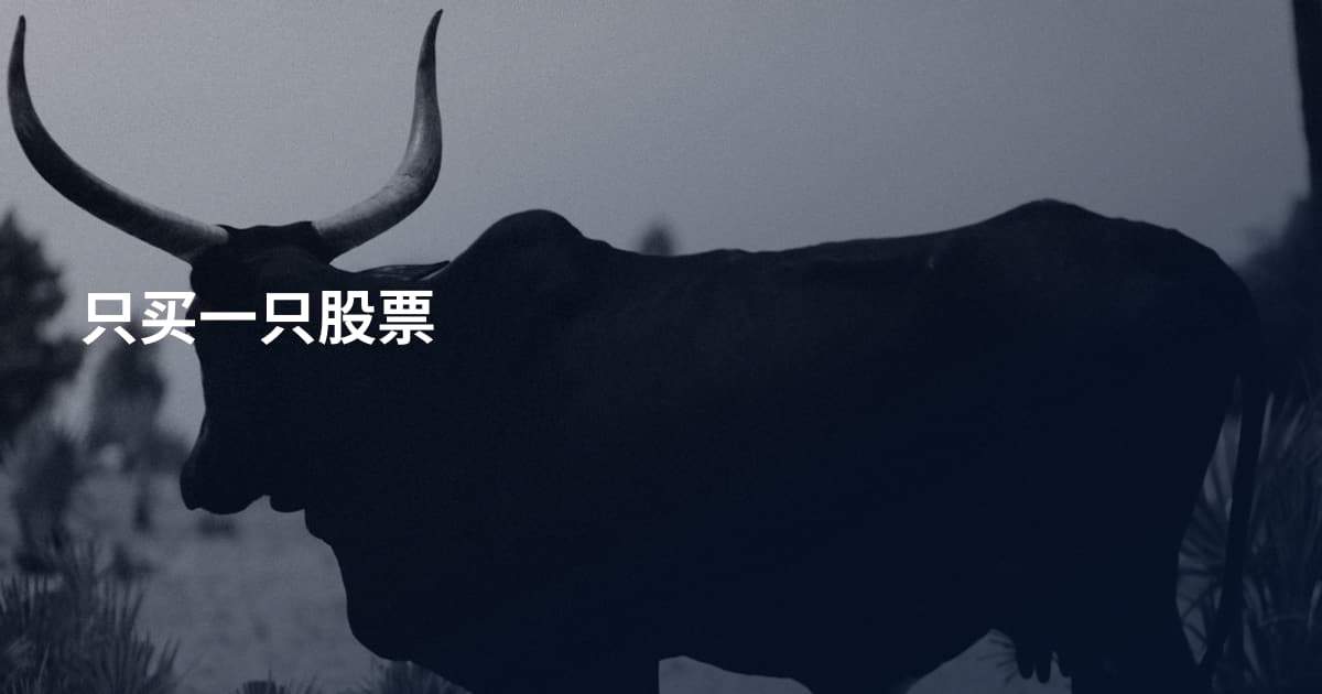 只买一只股票