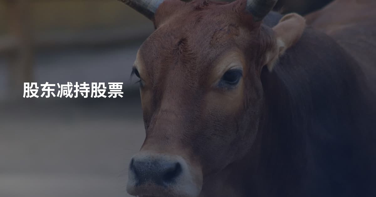 股东减持股票