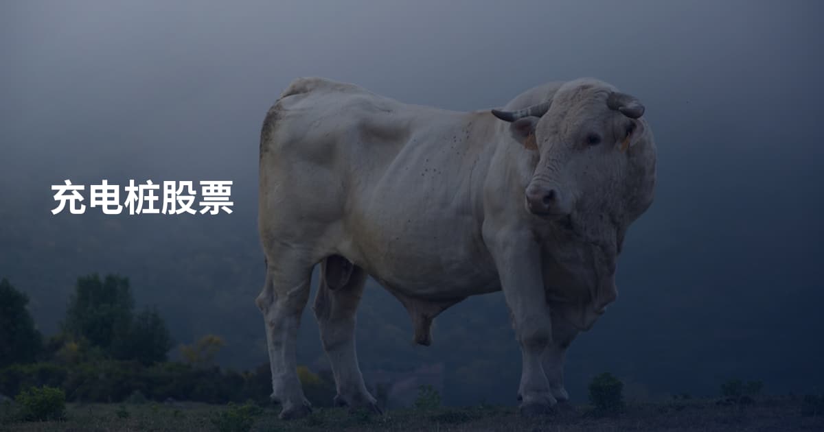 充电桩股票