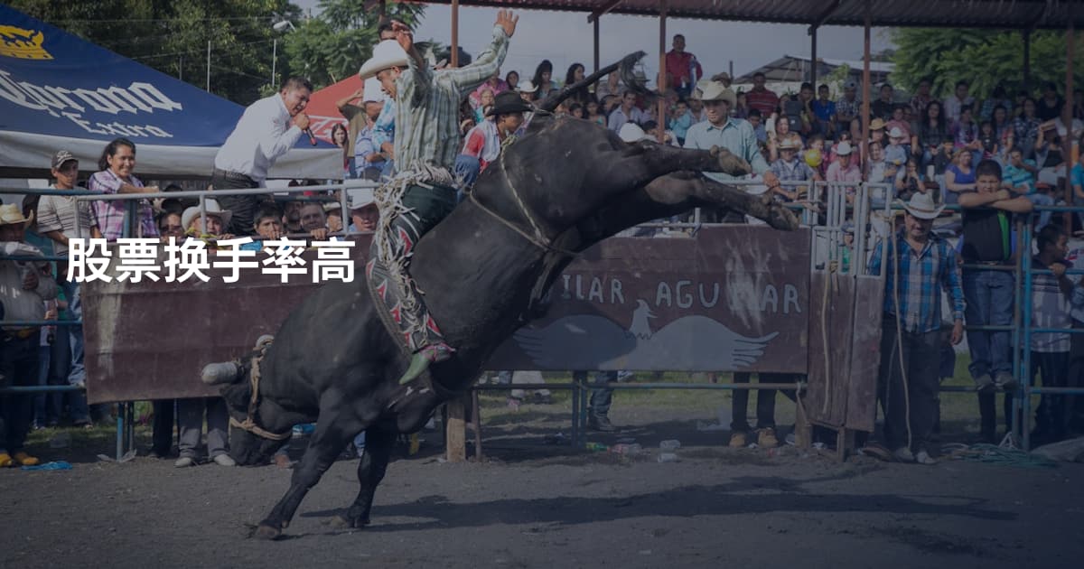 股票换手率高