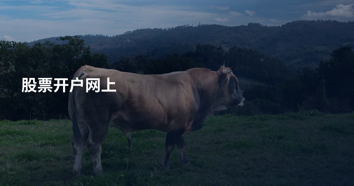股票开户网上