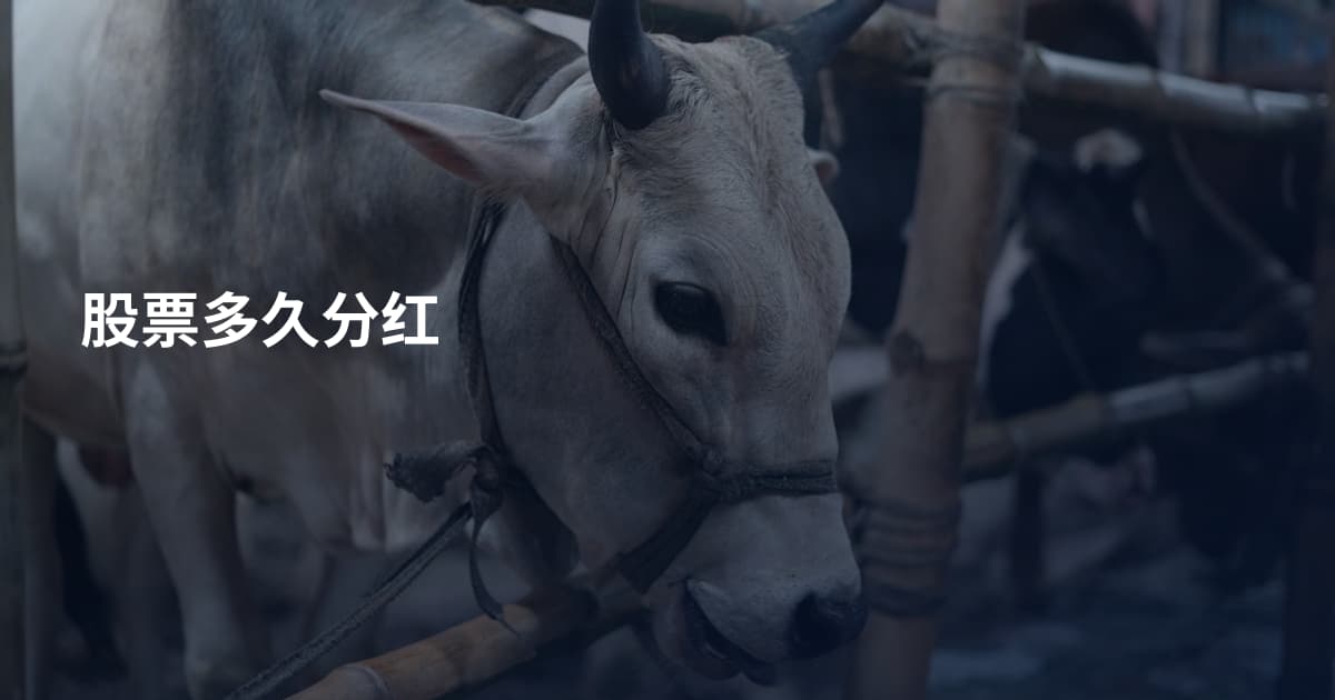 股票多久分红