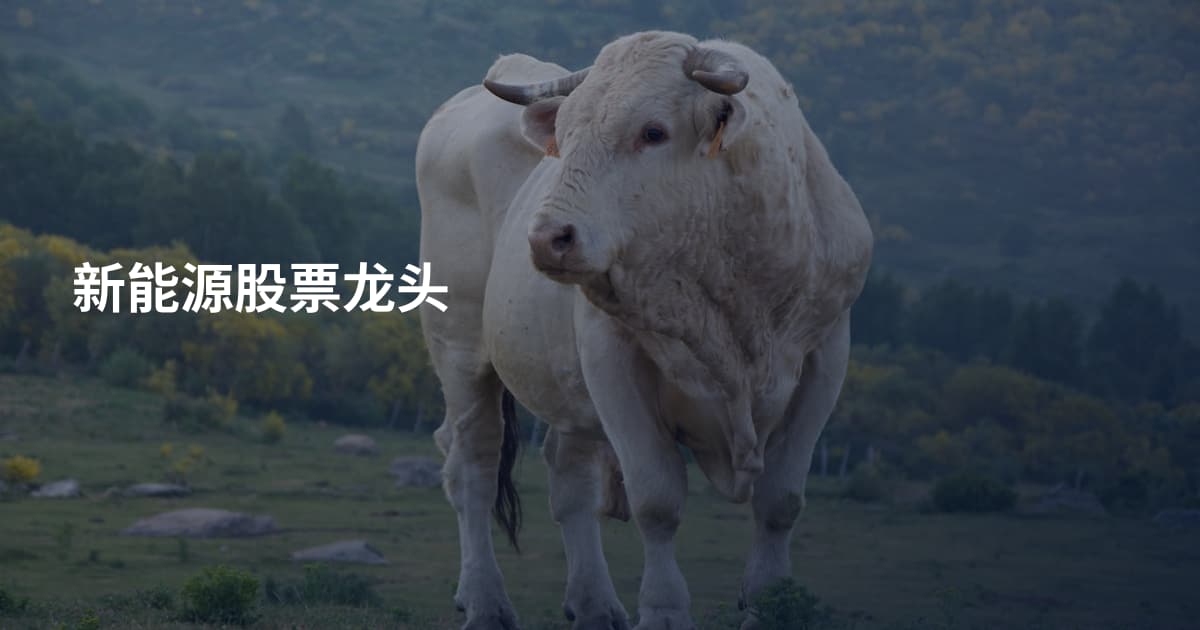 新能源股票龙头
