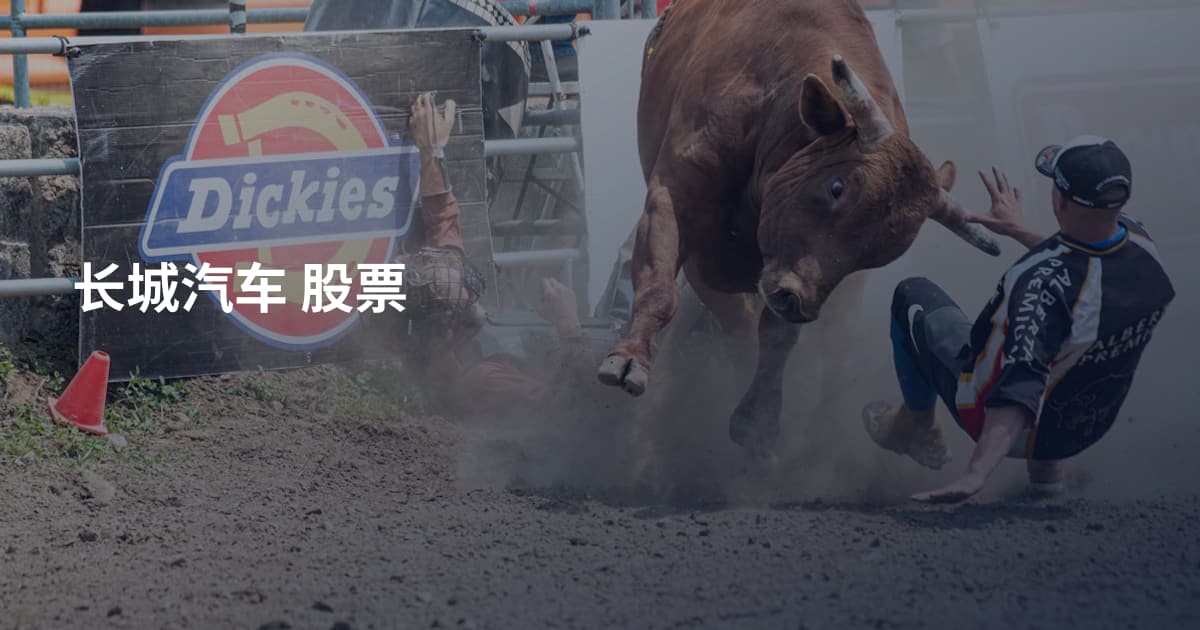 长城汽车 股票