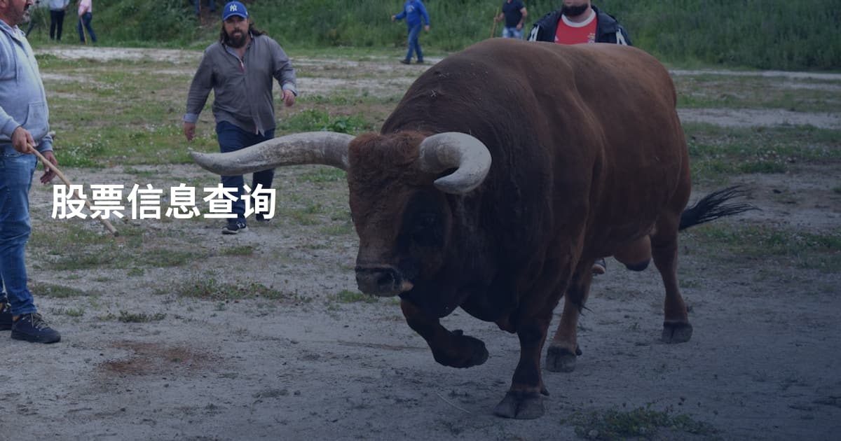 股票信息查询