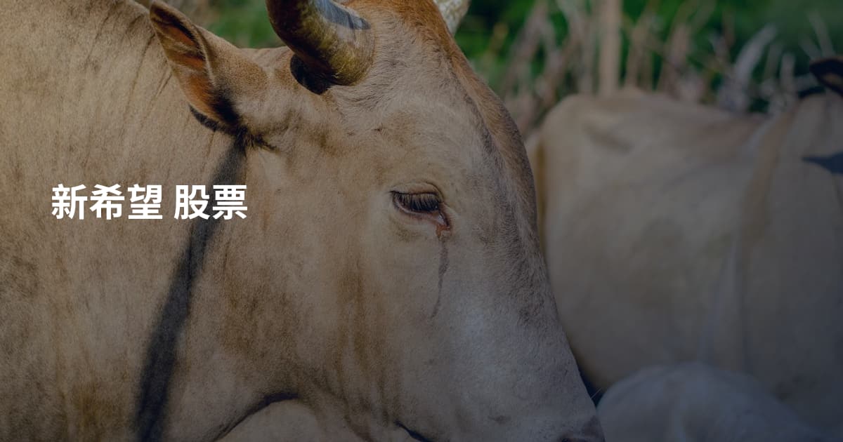 新希望 股票