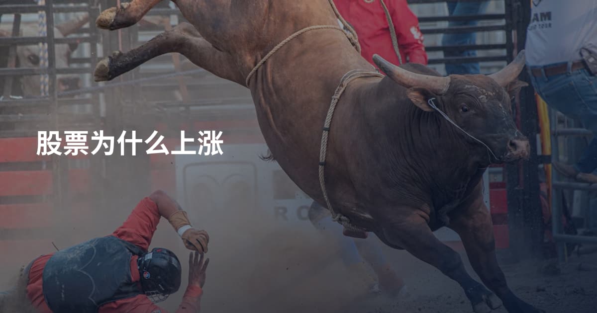股票为什么上涨