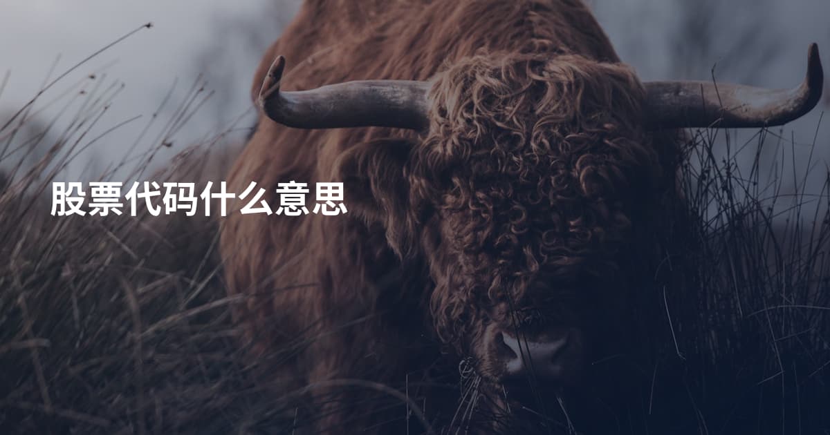 股票代码什么意思