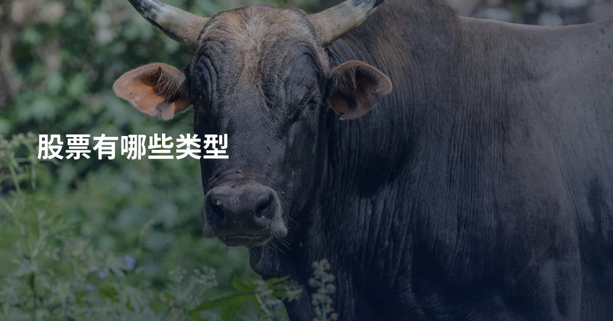 股票有哪些类型