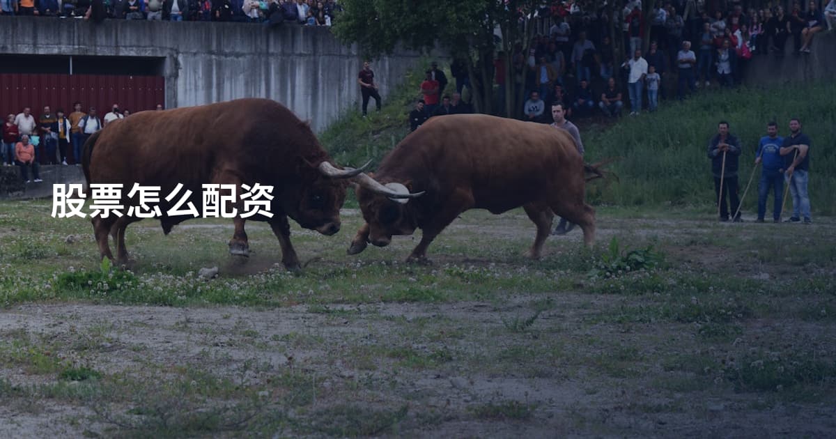股票怎么配资