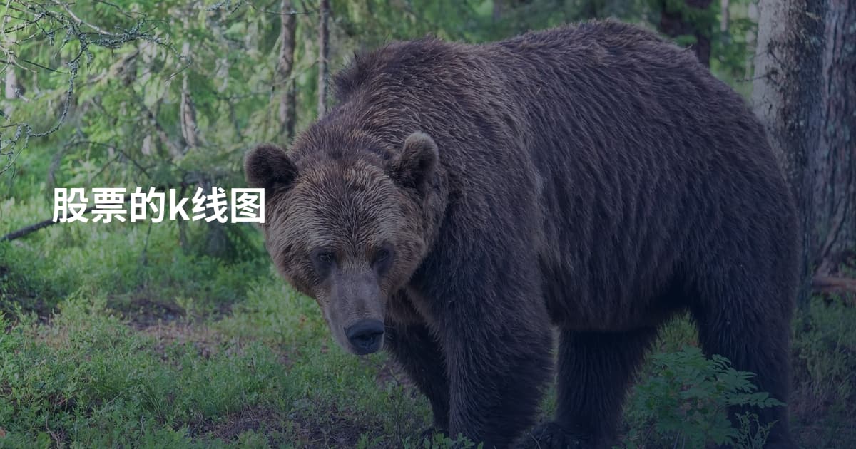 股票的k线图