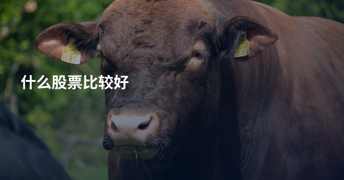 什么股票比较好