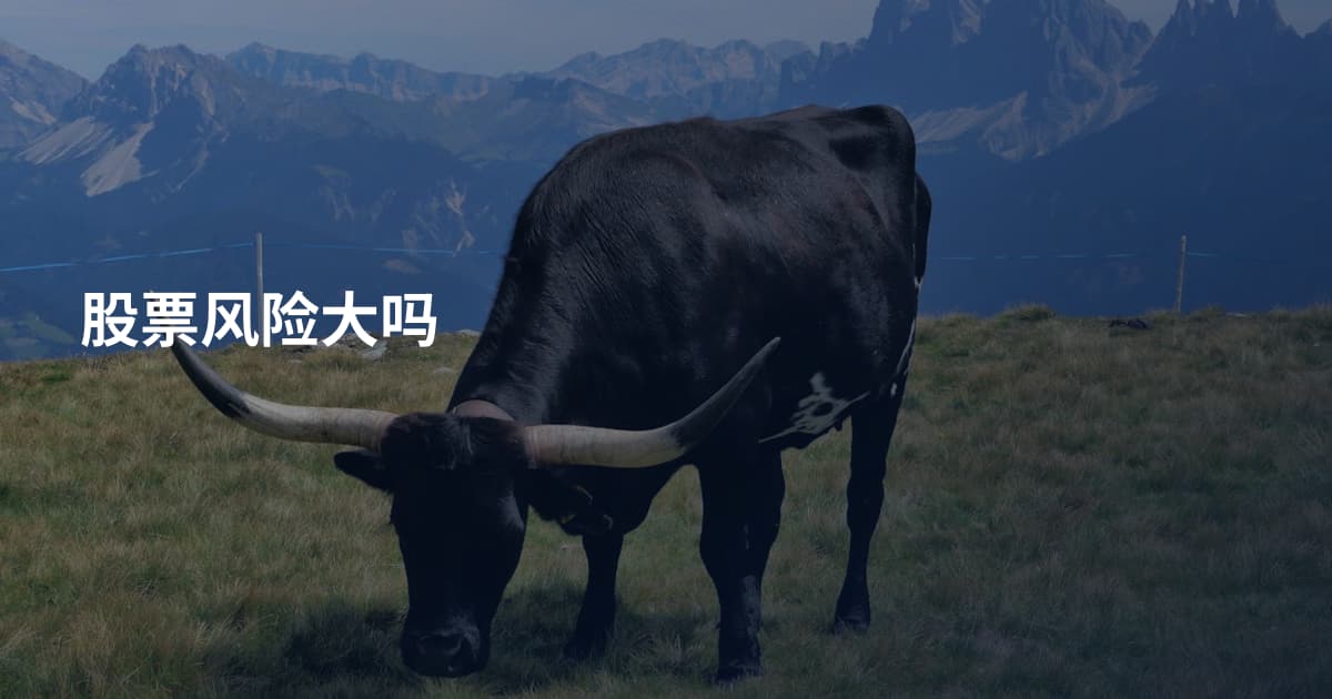 股票风险大吗