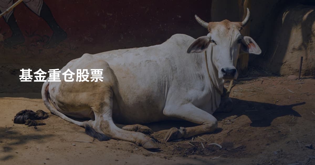 基金重仓股票