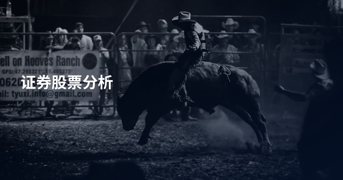 证券股票分析