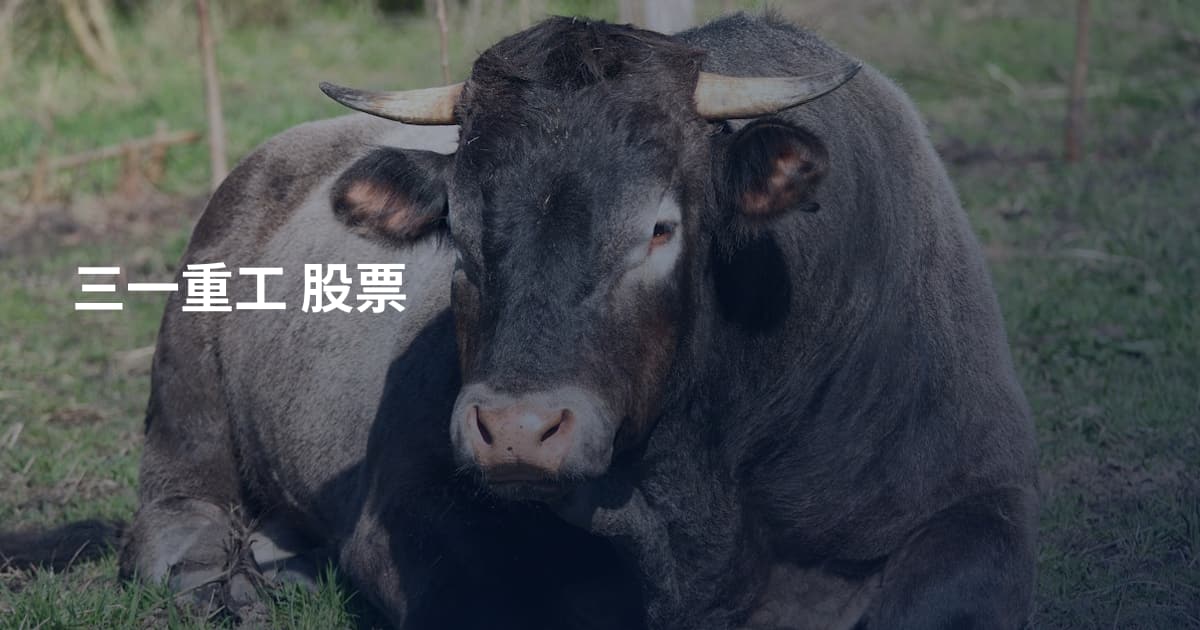 三一重工 股票