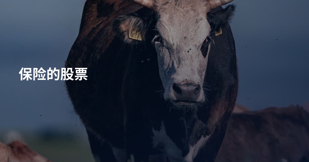 保险的股票