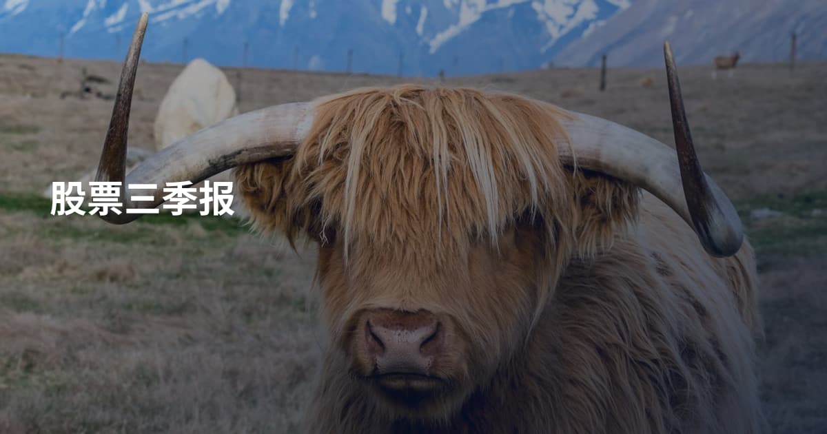 股票三季报