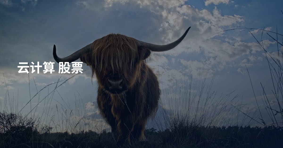 云计算 股票