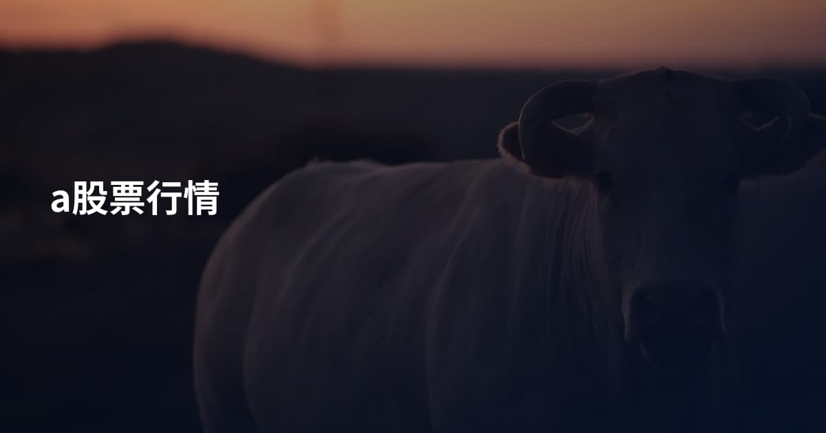 a股票行情