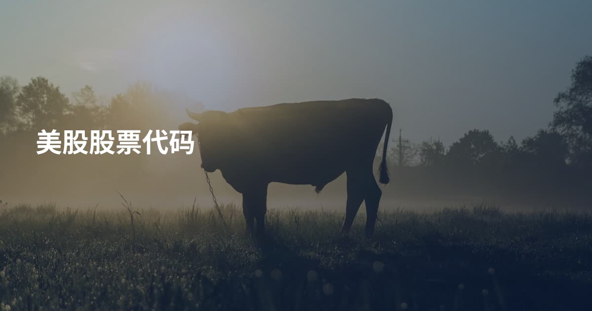 美股股票代码