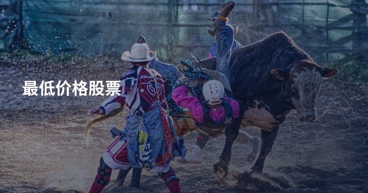 最低价格股票