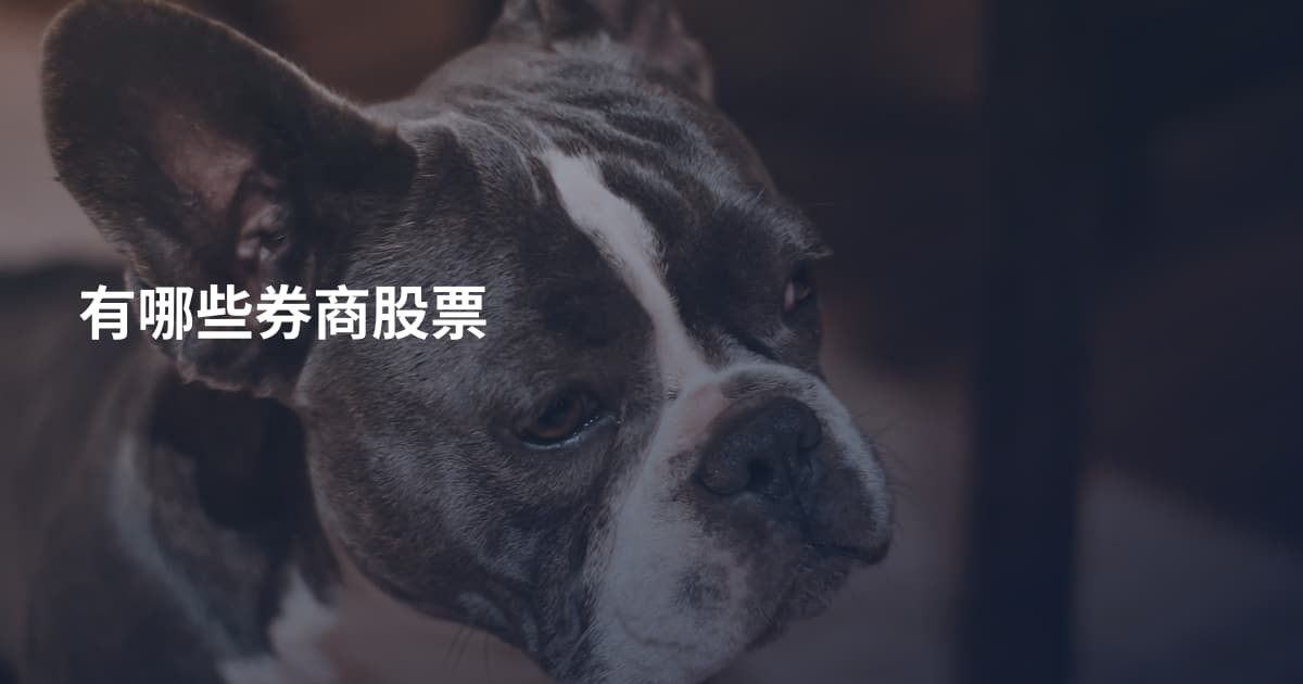有哪些券商股票