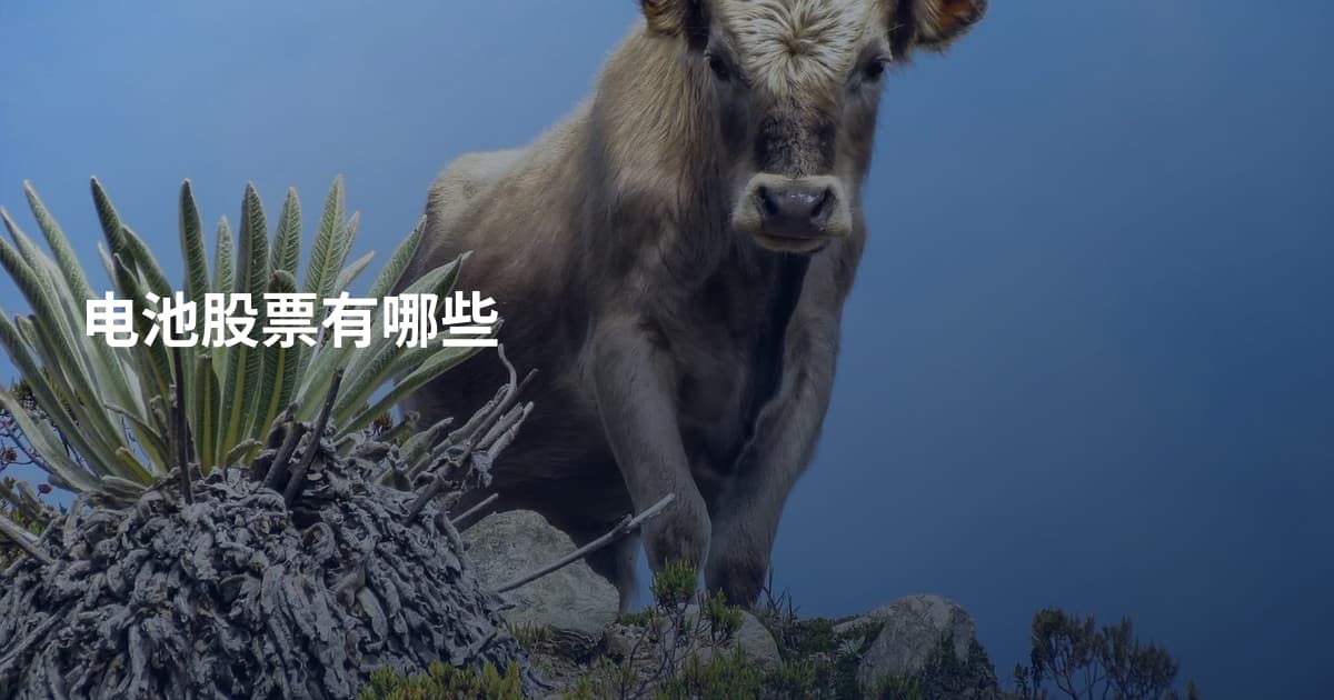 电池股票有哪些