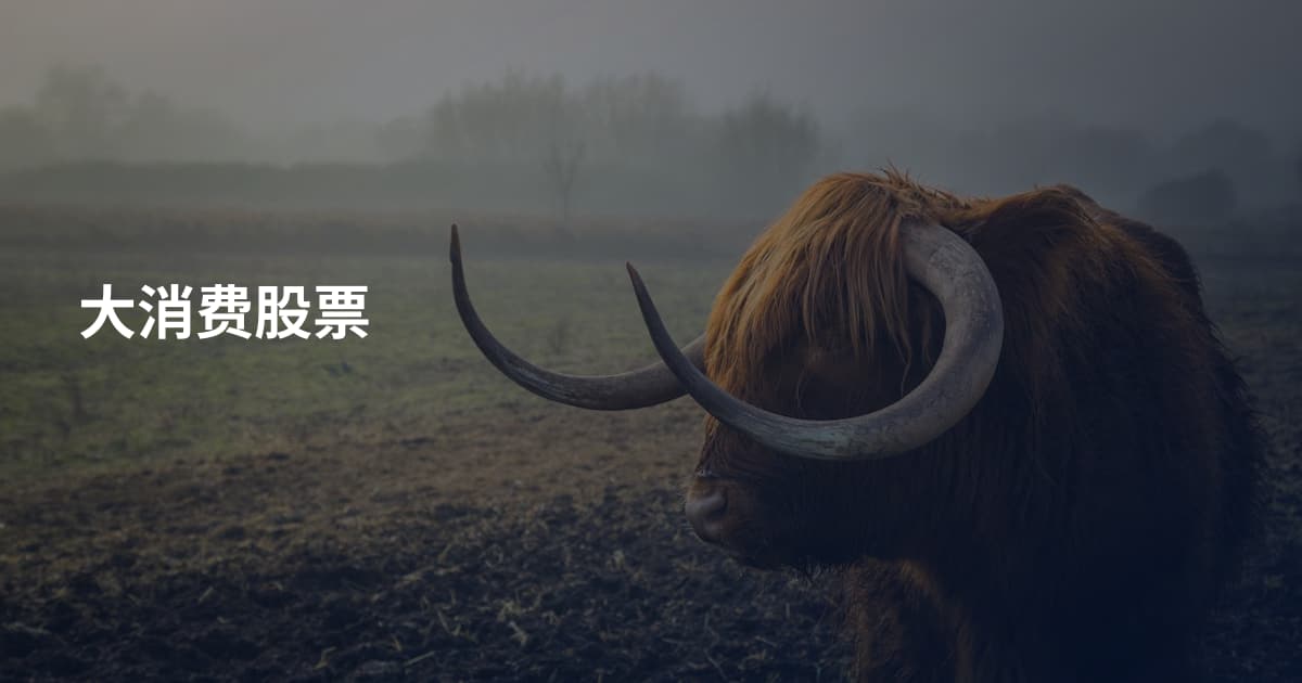 大消费股票