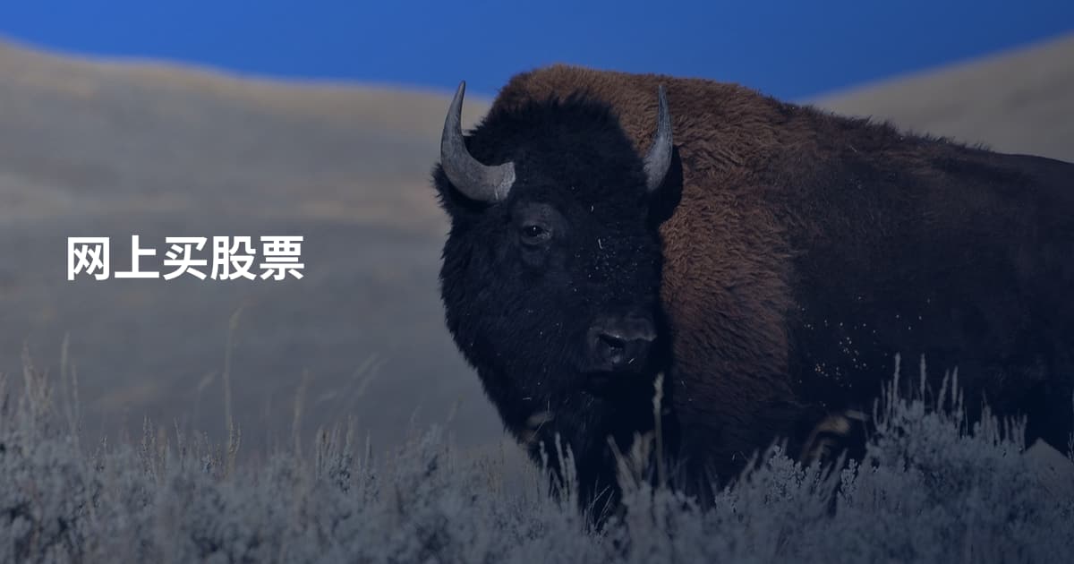网上买股票