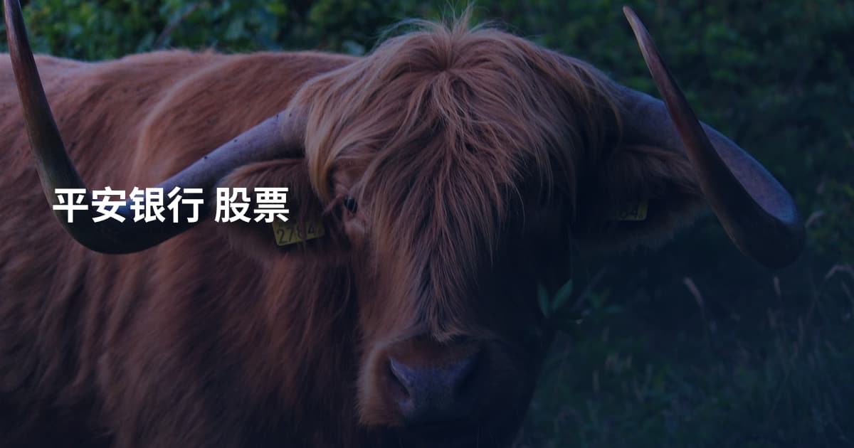 平安银行 股票