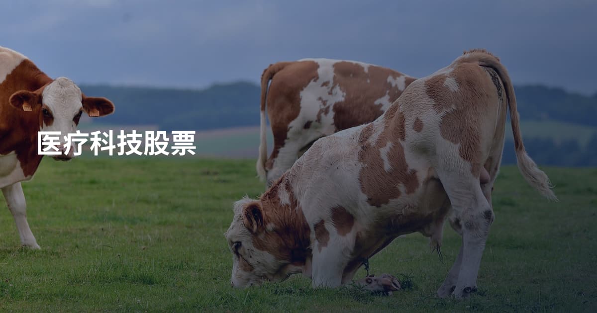 医疗科技股票