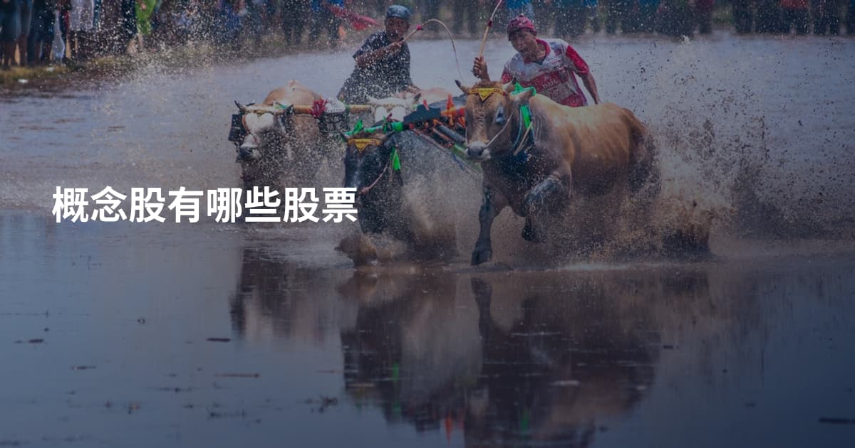 概念股有哪些股票