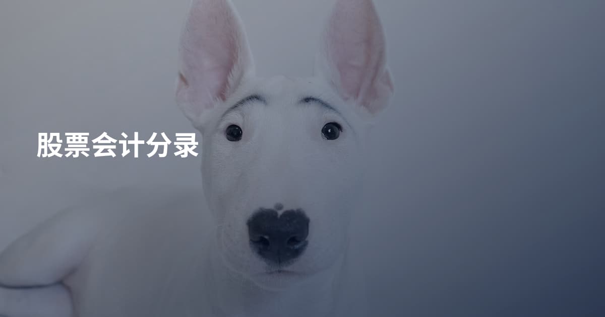 股票会计分录