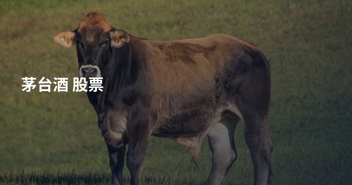 茅台酒 股票