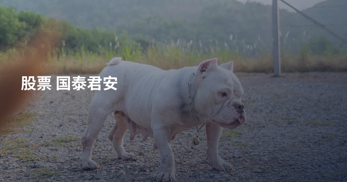 股票 国泰君安