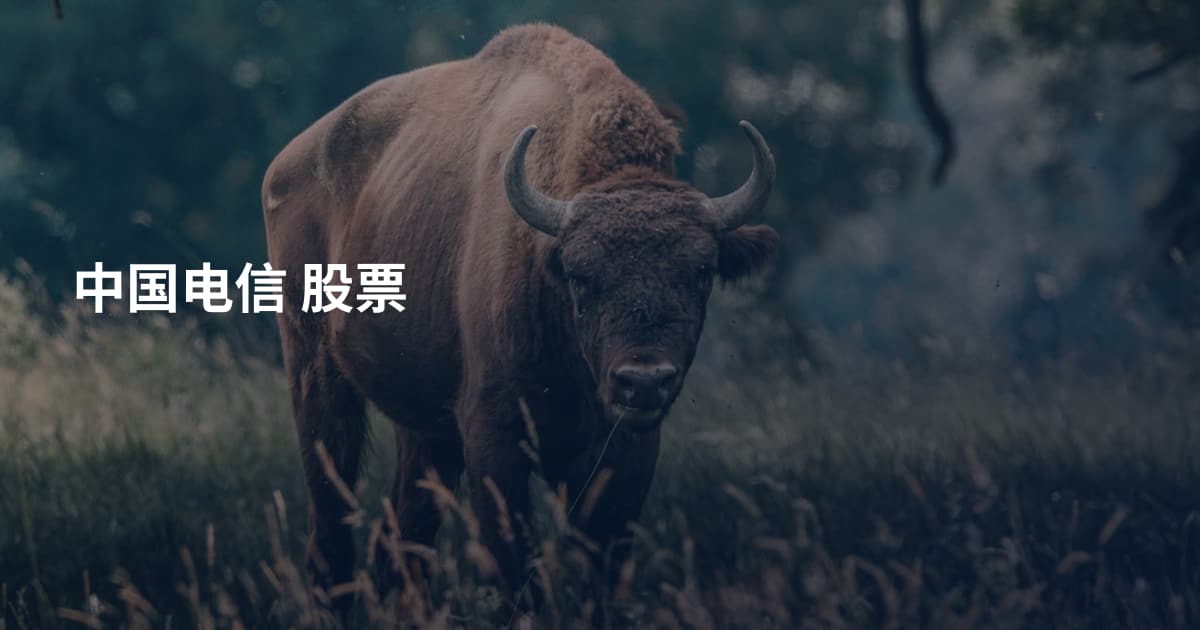 中国电信 股票