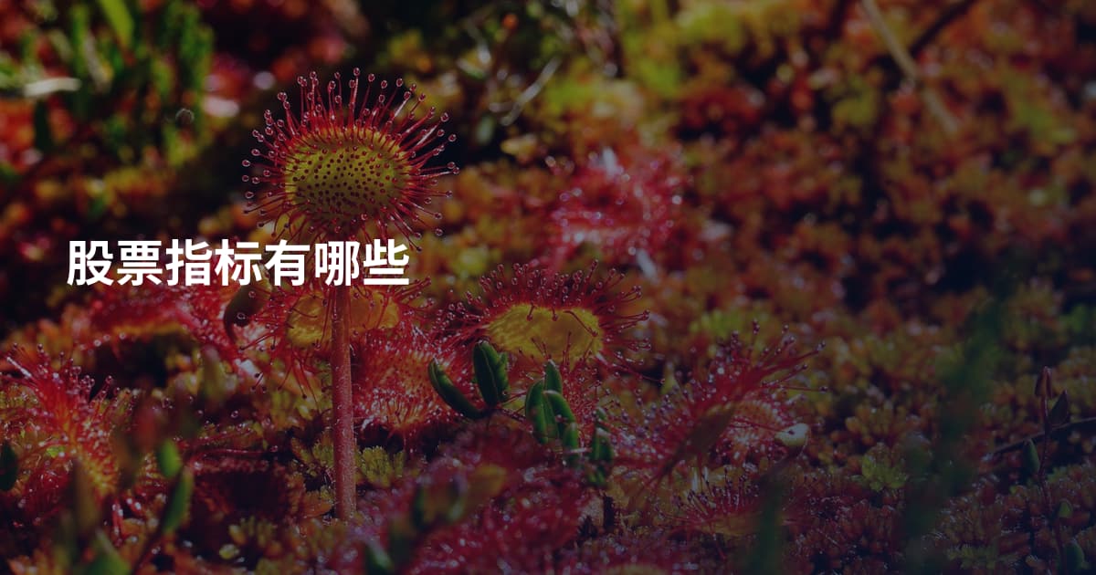 股票指标有哪些