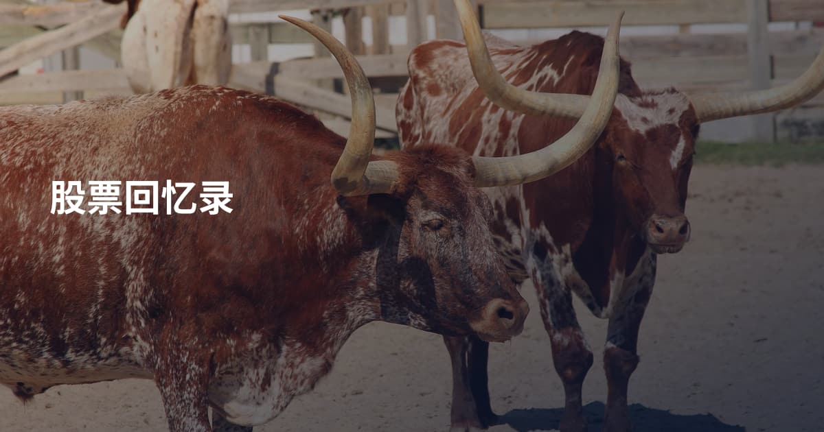 股票回忆录