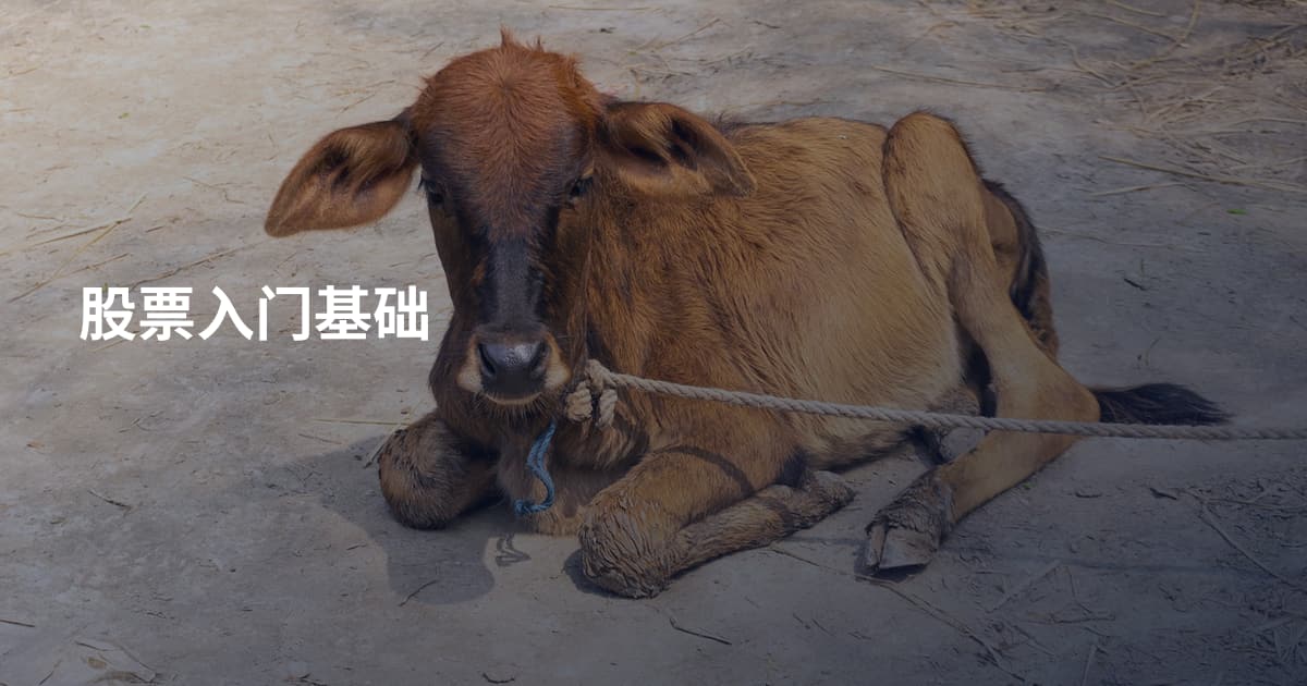 股票入门基础