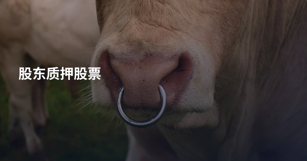 股东质押股票