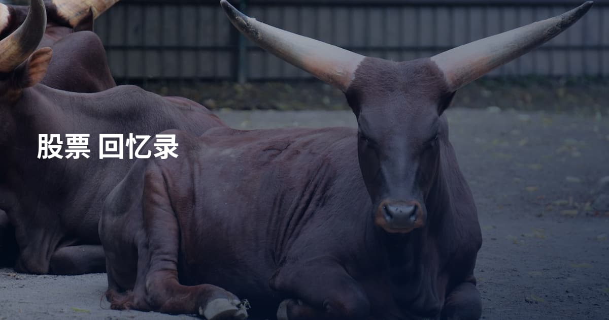 股票 回忆录