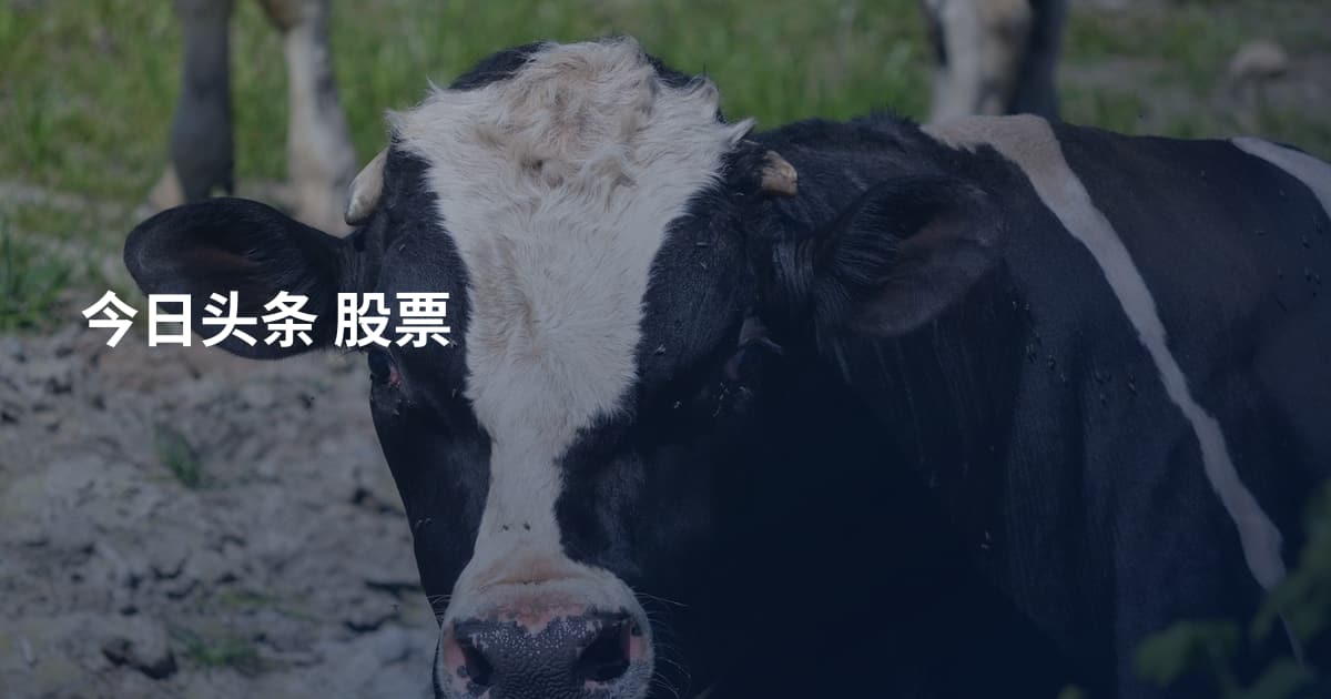 今日头条 股票